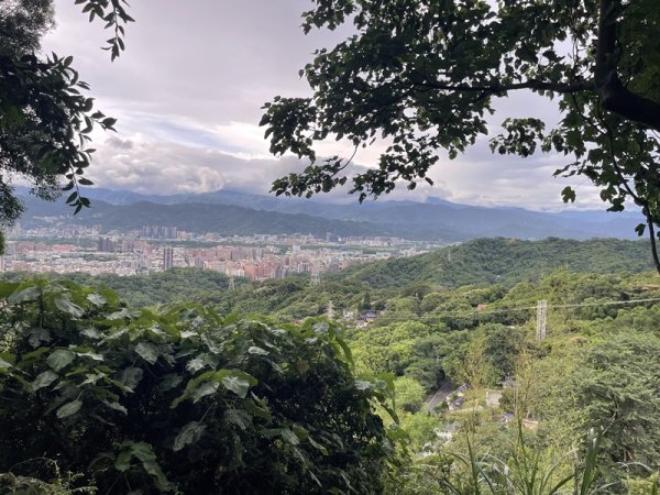 【大棟山系】405高地段2844912