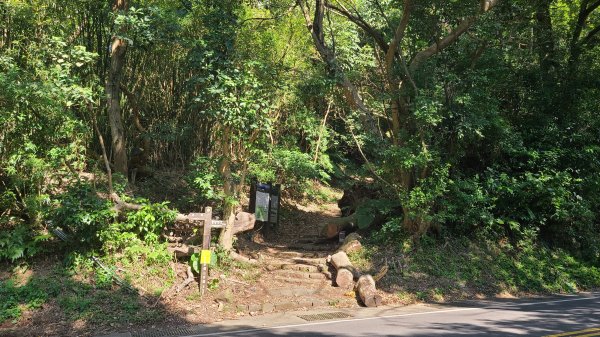 2023-0212 陽明山公車總站-紗帽山-天母古道-翠峰瀑布-猴洞古道-天母圓環2027826