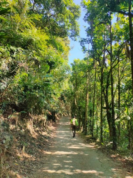 關子嶺大凍山（小百岳）+雞籠山2234602