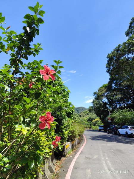 【臺北大縱走 7】2-1 樟山寺→樟樹步道→彩雲亭→相思炭窯→貓纜貓空站→指南路三段40巷2881830