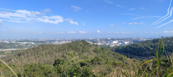 秀才登山步道2936928