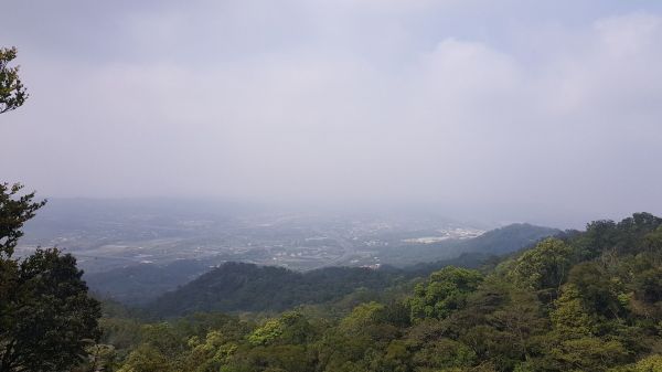  107/3/29 三角山~員屯山 縱走299210