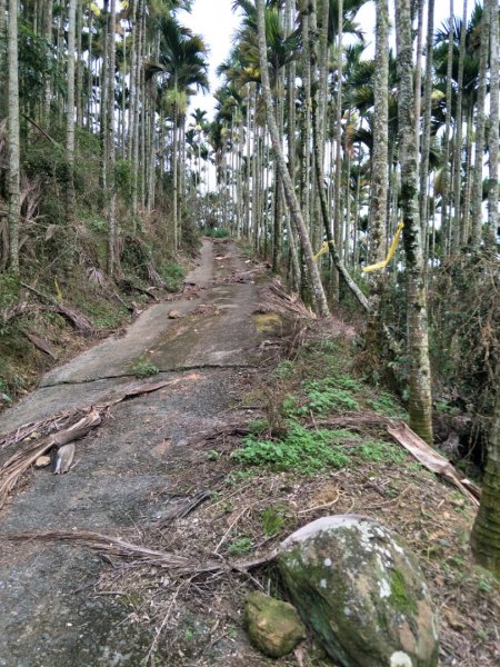 逐鹿古道&雨社山1465941