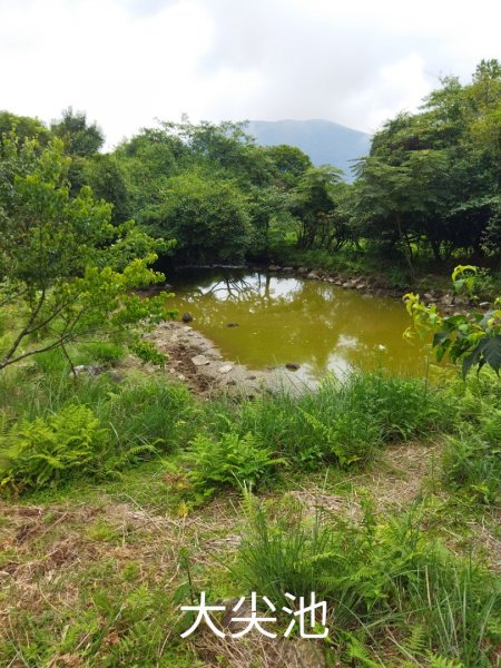 鹿堀坪越嶺古道-大草原-大尖池-大尖山-鹿堀坪古道O行1771795