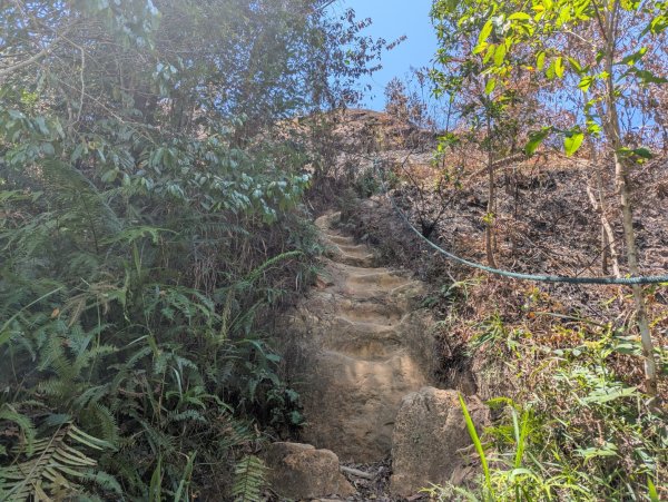 20260417 汶萊 - Bukit Si Patir3038250