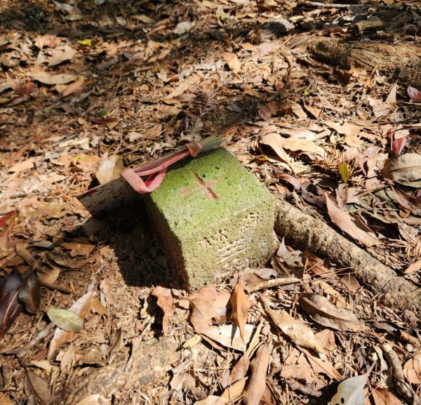 【中級山】邑治第一山，守城大山，連走守關山，守關山南峰2740901