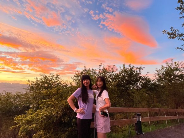 【油羅山/露營】 仙境舒活健走，雲端徜徉野趣！2887862