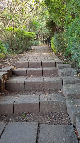 台北大縱走第一段1249083