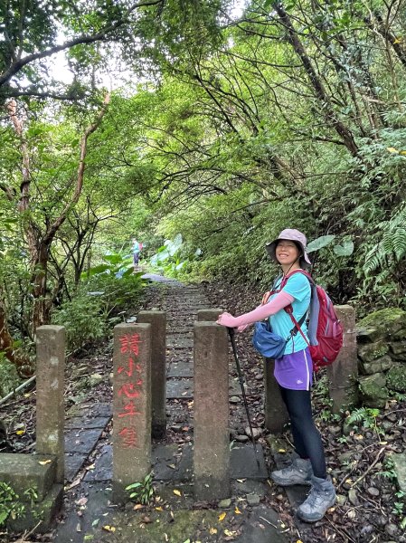 草嶺古道-大溪線-桃源谷-虎字碑-草嶺古道-福隆2591660