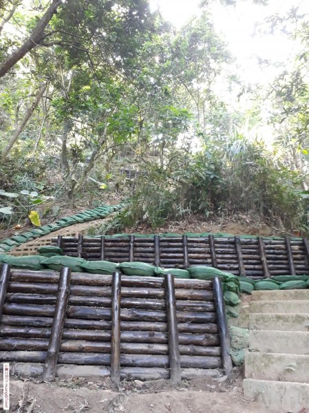 台中太平三汀山登山步道20181021439426