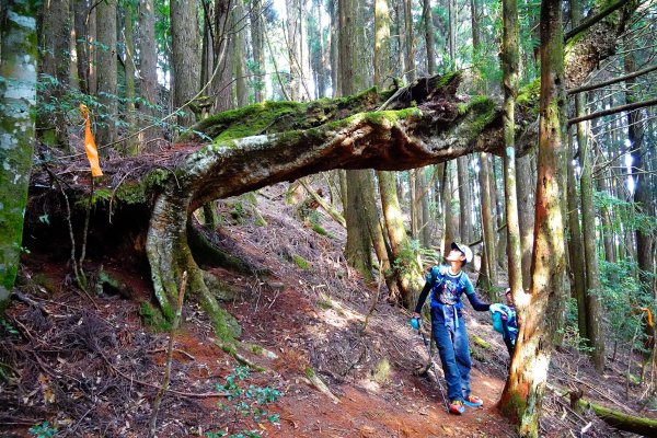 樂山舊鐵道順撿鹿坑山1320442