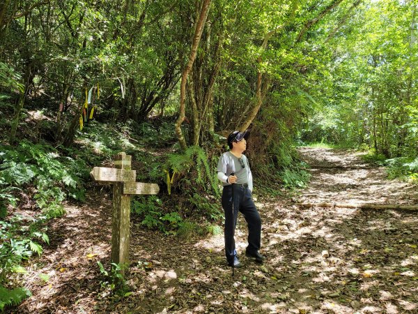 李棟山步道2206494