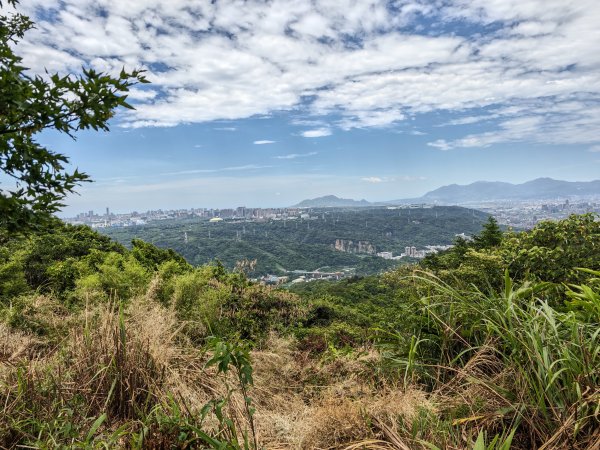 [微笑山線_第一段] 2026_0725 大棟山系_大同山3101738