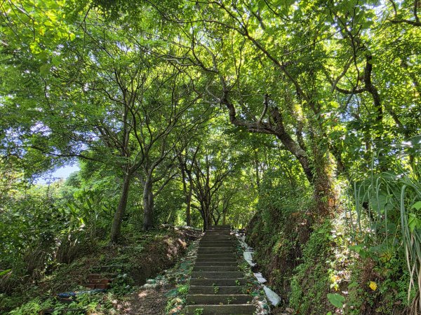 小百岳No.43⛰三汀山3081861