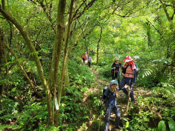 2022.07.28 石碇-紙寮坑古道縱走1782539