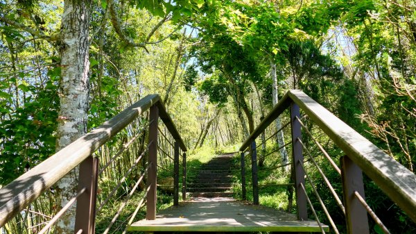 二延平步道。貿易戰2764961