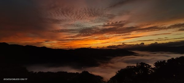 獵狸尖星空雲海&慈瑤宮火燒雲朝霞日出雲海2259548