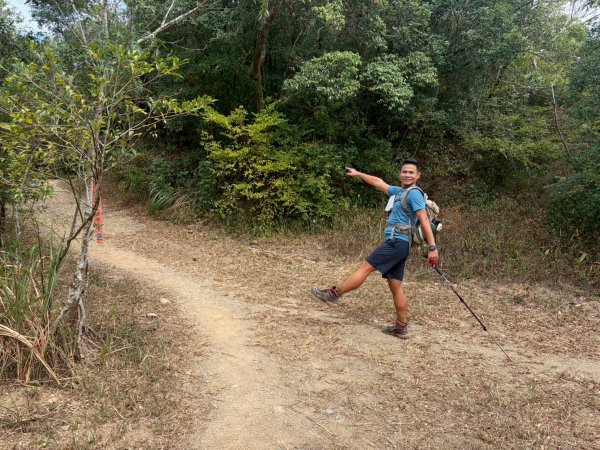 力里山【以產業道路為中央伍 散開】3000053