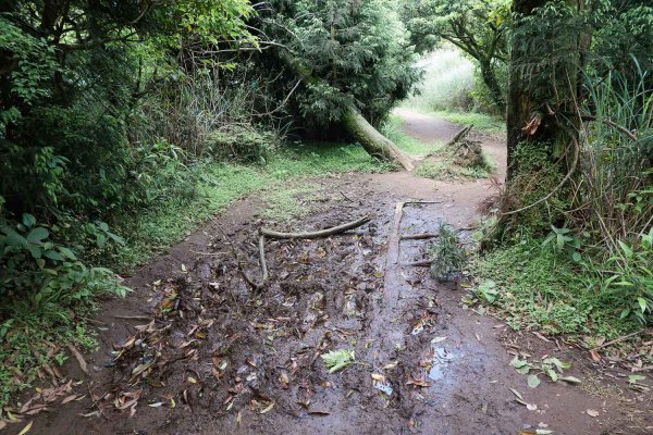 【台北大縱走第二段】大屯西峰、南峰與大屯山的絕美景致1362747