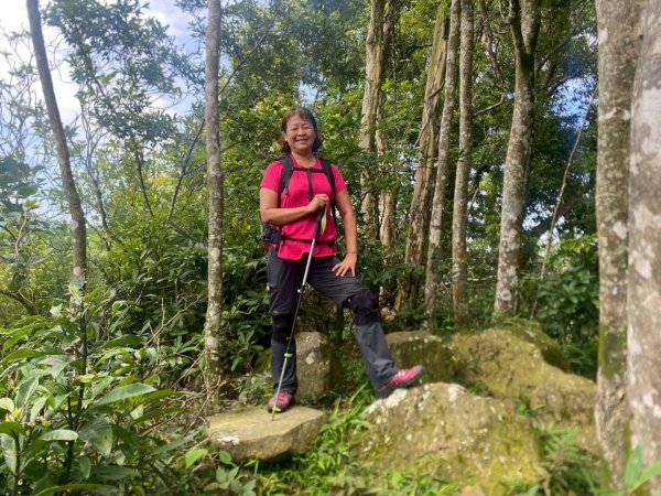 苗栗縣獅潭鄉鳴凰古道O型縱走2803673