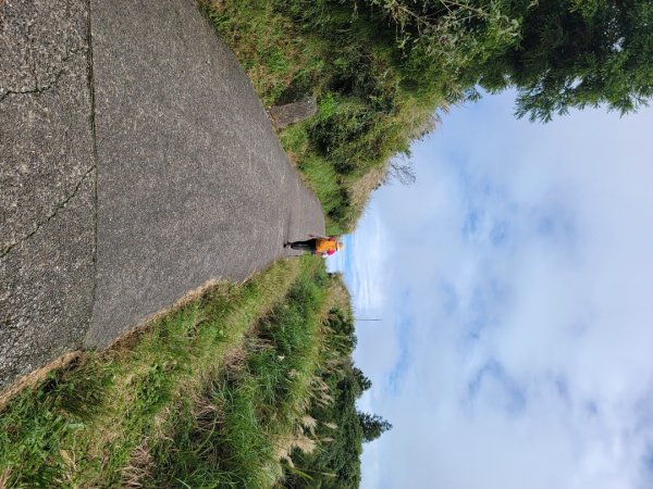 苗圃-七星山主,東峰-大屯山主峰-二子坪-202410262859688