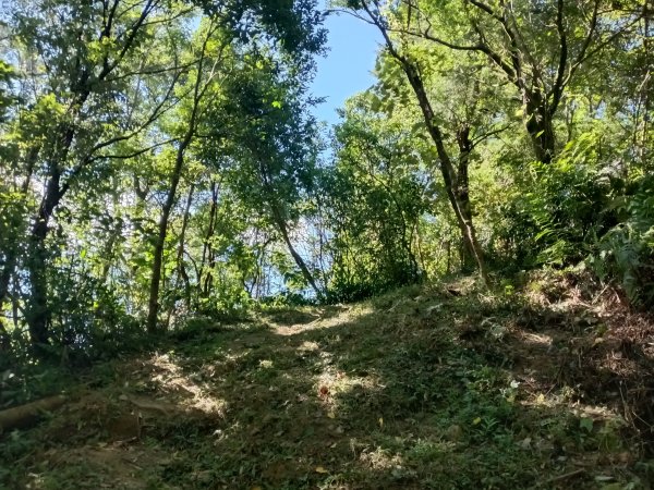 雙溪區豹子廚越嶺保甲路2877006