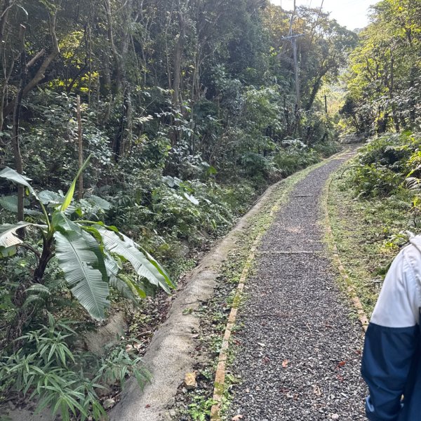 20260110 更寮古道(小百岳-土庫岳)2980766