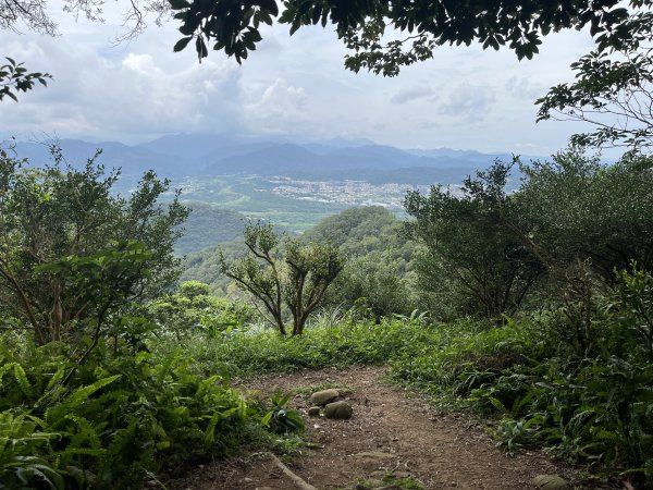 [山頂鳥40周年會員大縱走-02/15] 2024_0616 飛鳳山、觀日坪古道2530074