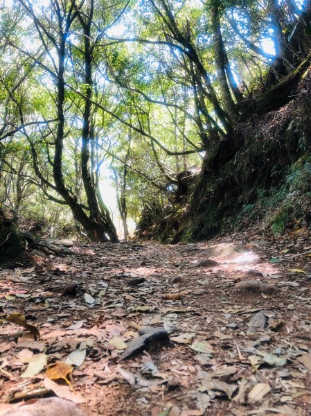 1090413中之關天池-初嚐梅子雞940898