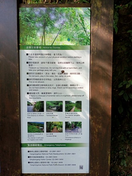 【南山神壽任務尋寶趣】流水潺潺的坪頂古圳親山步道→清風亭→大崎頭步道1591345