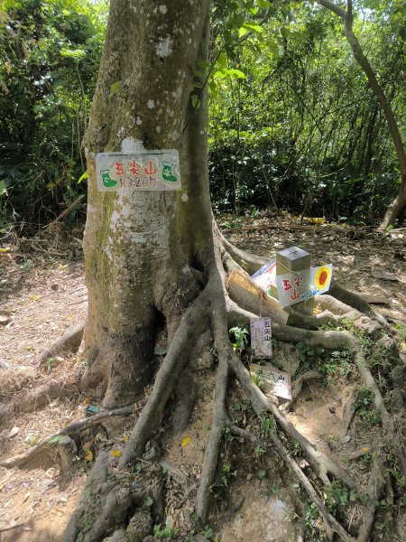 20240923微笑山線：【天上山系】烘爐地土地公段2892435