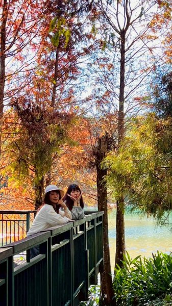 🌈12/21(日)落雨松紅了~日月潭環湖精華段✨FB：熊熊趴爬走🌈2967400