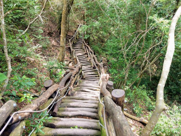 頭嵙山(小百岳#41)大坑4,5,1步道1003692