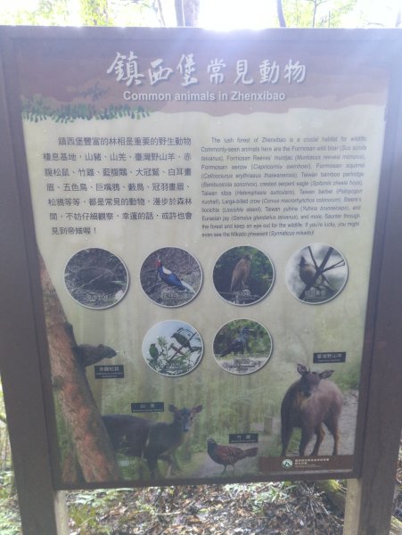 2026.01.03－鎮西堡B區神木群2981138