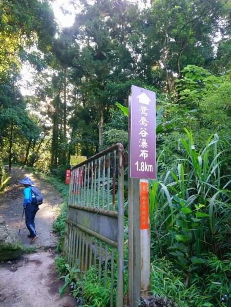 馬武督山，蓮包山，鴛鴦谷瀑布連走671662