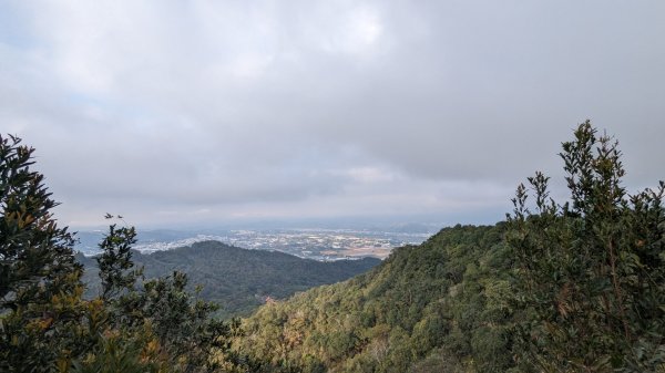 頭嵙山 大坑4號步道 3號步道2361068