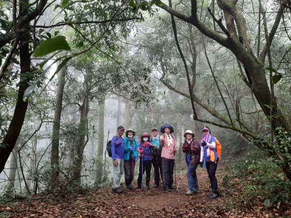 擎天崗→磺嘴山生態保護區→磺嘴山 H912m→翠翠谷→榮潤古道→內雙溪古道→冷擎步道→冷水坑1487607