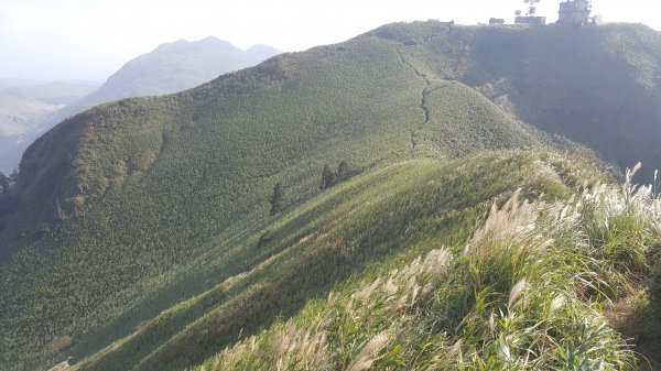 阿興阿賢小觀音山562684