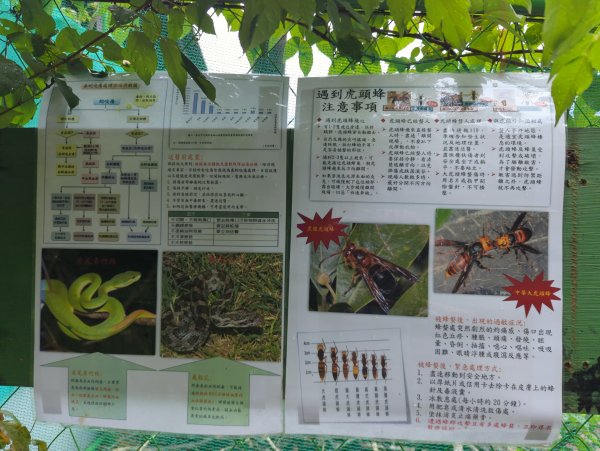 2025.09.07－金面山2880202