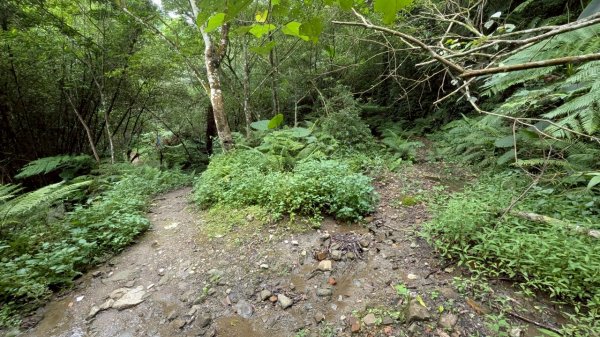 114.06.14雙石縱走&石門水庫-石牛山之旅2812269