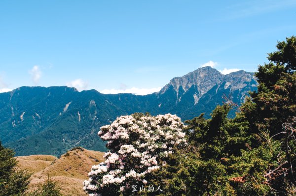花季限定的景色3063163