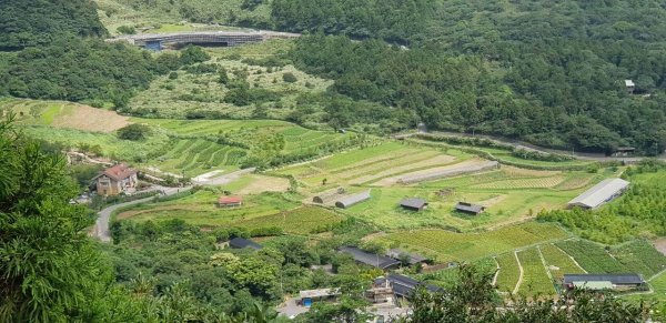 劍竹林步道-竹子湖頂湖環狀步道743369