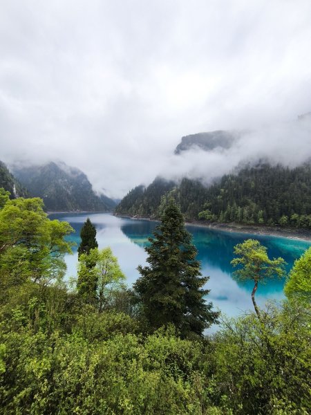 【海外健行】在山海與古都間，一半人間煙火，一半天上霓虹。3071558