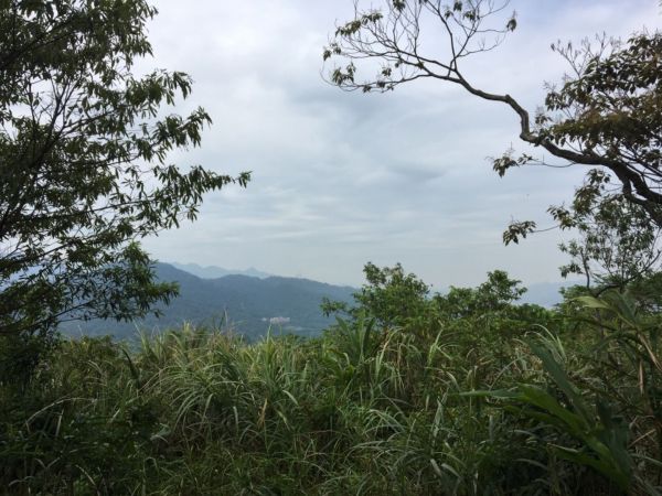 三峽-土城 天上山396603