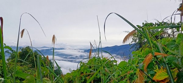 112.01.02 細道邦山-馬那邦山1979718