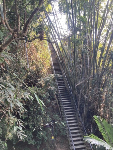 龍過脈森林步道2975687