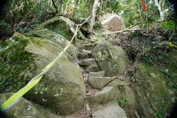 苗栗 獅潭 仙山、大窩山2984269