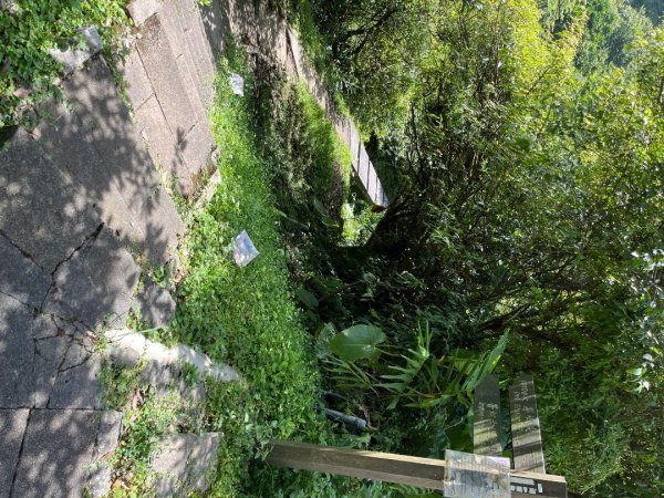 20230705_平溪薯榔尖、國旗嶺步道2762617