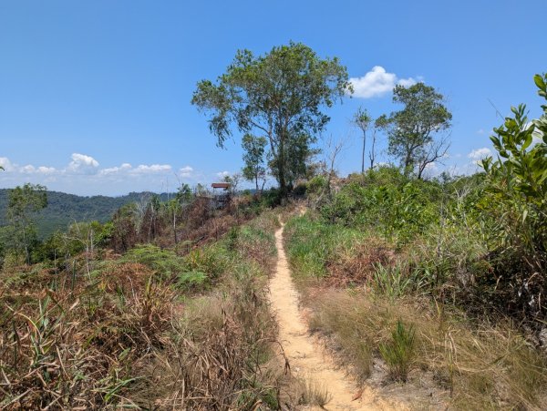 20260417 汶萊 - Bukit Si Patir3038252