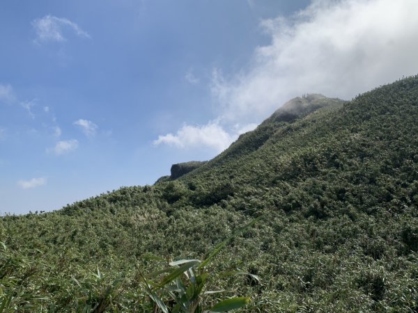 七星山主峰、東峰3124766